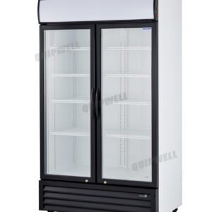 LG900HD 2 Door Upright Display Fridge 900L - Image 5